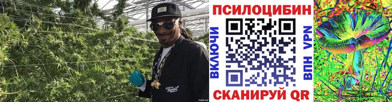 kraken маркетплейс  сколько стоит  Салават  Галлюциногенные грибы прущие грибы 