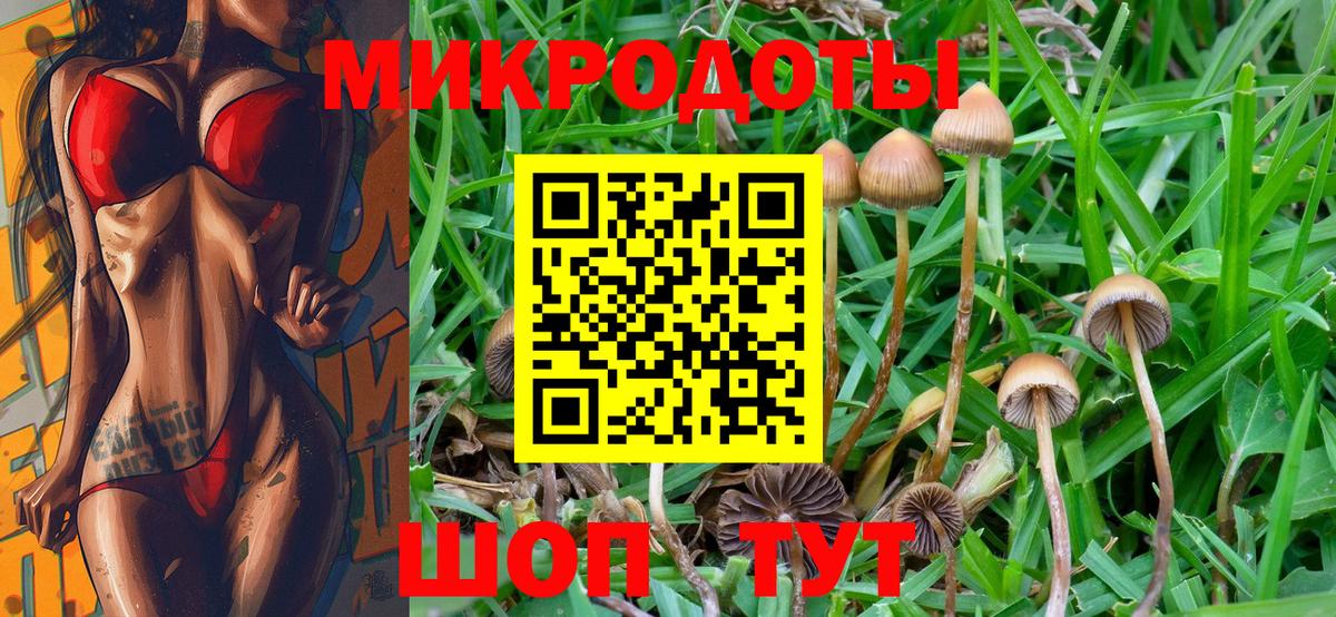 Псилоцибиновые грибы Cubensis Салават