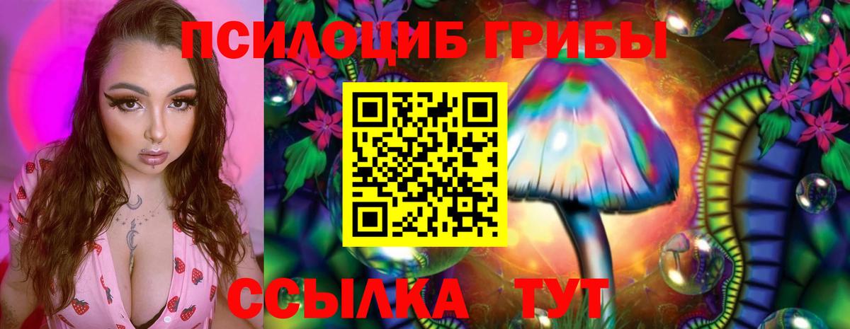 Салават  Псилоцибиновые грибы мухоморы  Вход с VPN 